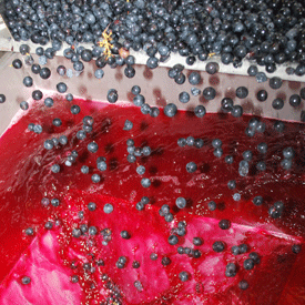 Réussir vinification et macération vin
